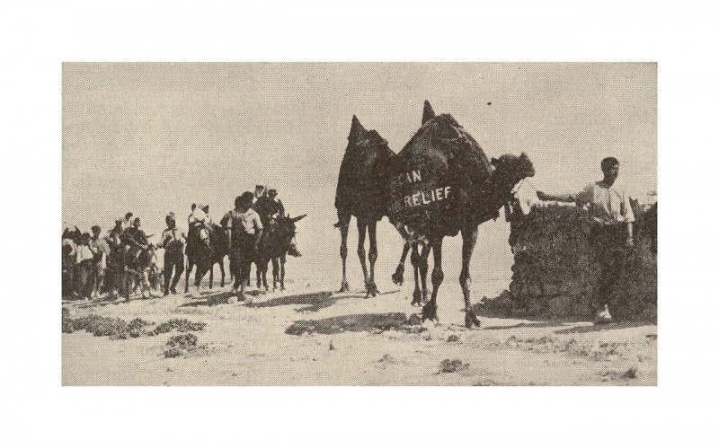 Children evacuate Harput with donkeys and camels