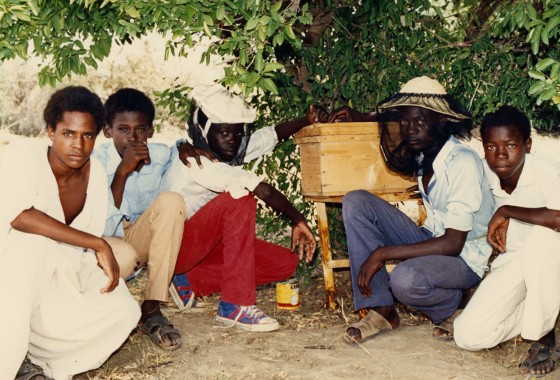 Legacy of Near East Relief