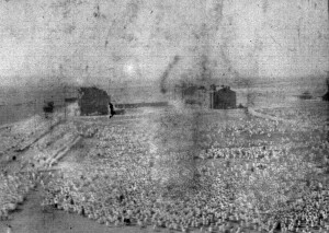 Aerial view of the orphan population of Kazachi Post orphanage, Alexandropol (now Gyumri). Photographs like this show the massive scale of Near East Relief's orphanage operations. The barracks in the background served as dormitories for thousands of children.