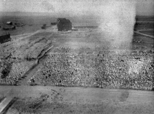 Aerial view of orphans on the parade ground at Kazachi Post orphanage, Alexandropol. Aerial views like this were used in publications to illustrate the number of orphans in Near East Relief's care.