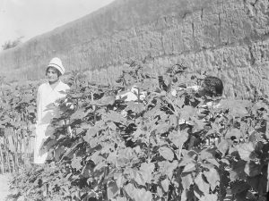 Nurse and girls in the garden at Alexandropol. This nurse and these girls appear in a series of photographs that may have been taken for promotional purposes.
