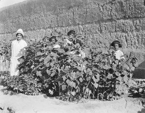 Nurse and girls in the garden at Alexandropol. This nurse and these girls appear in a series of photographs that may have been taken for promotional purposes.